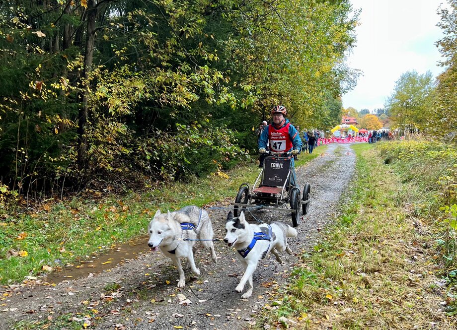 Indian Summer Race