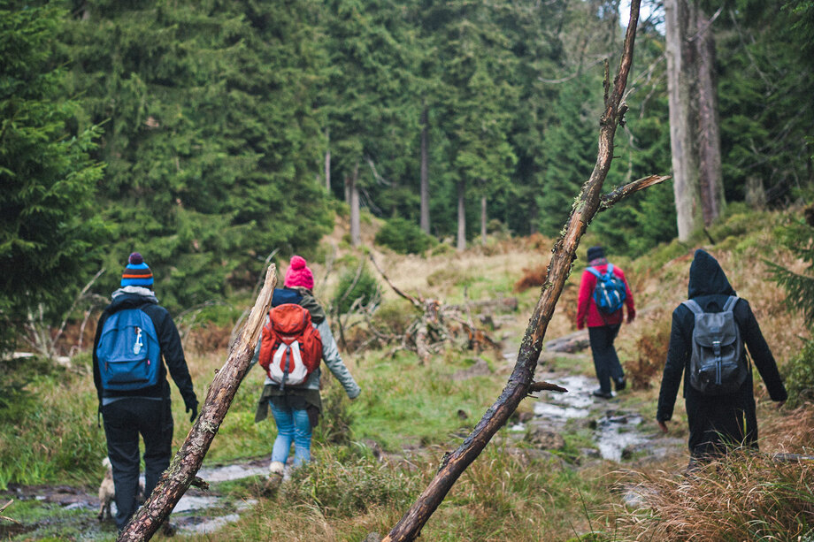 Wandern_am_Gruenen_Band__Sebastian_Berbalk.jpg