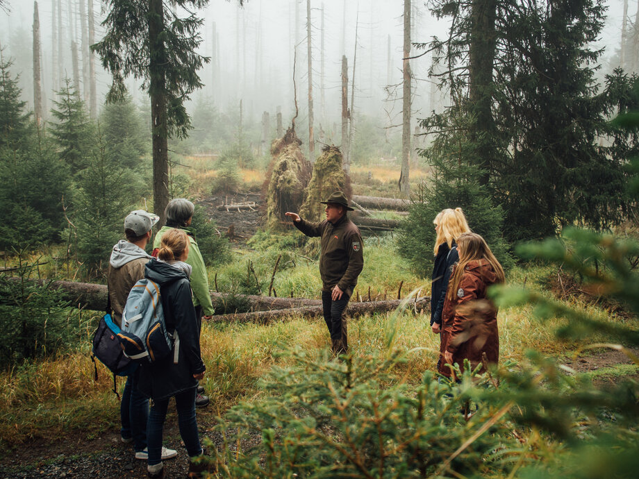 Waldwandel_Rangerfuehrung_02