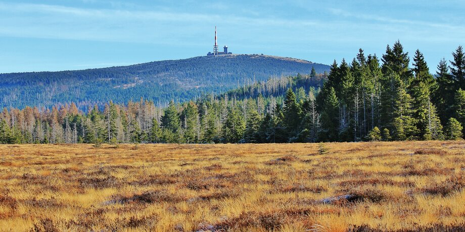 Brocken_Torhaus_Moor