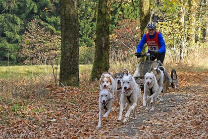 Indian Summer Race