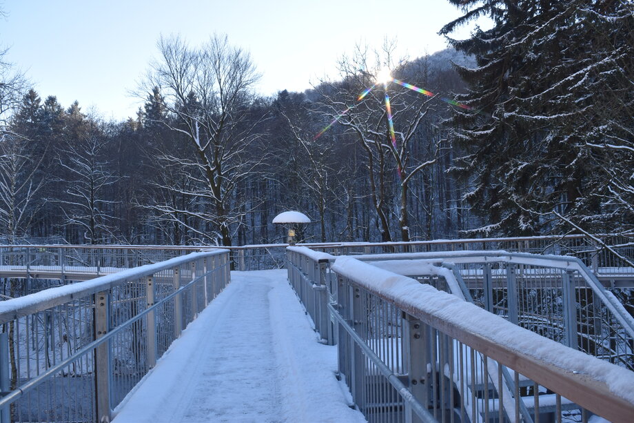 Winter am Baumwipfelpfad Harz