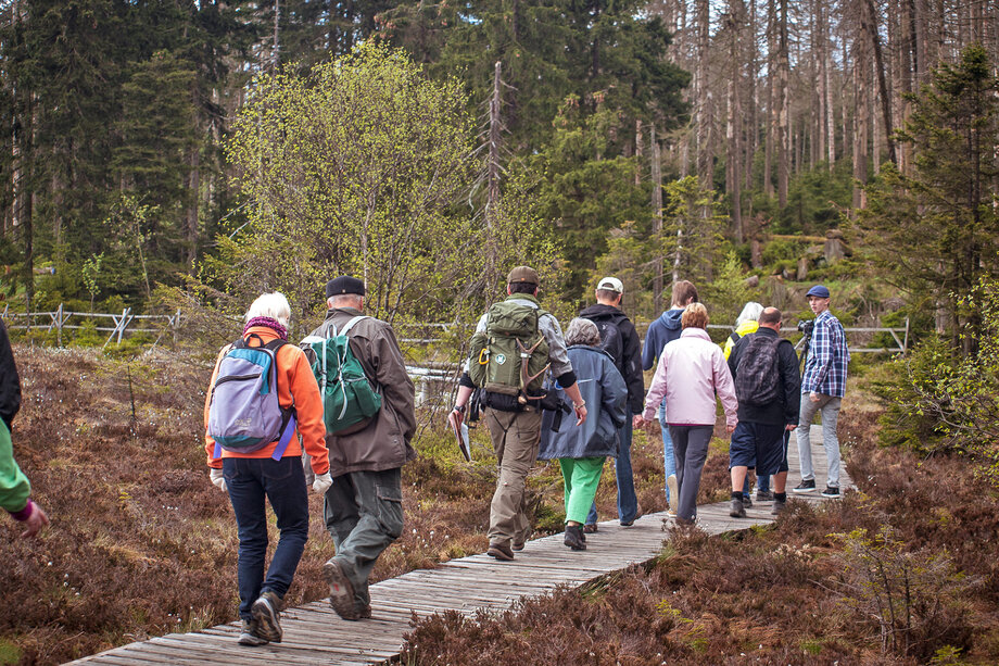 Spaziergang_in_der_Wildnis