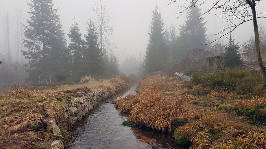 Abbegraben_nebel