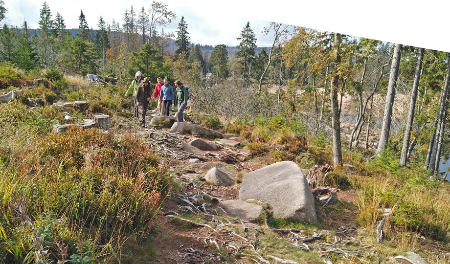 Oderteich_Rangertour