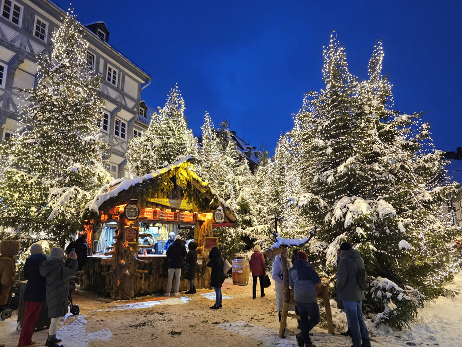 Goslarer Weihnachtswald