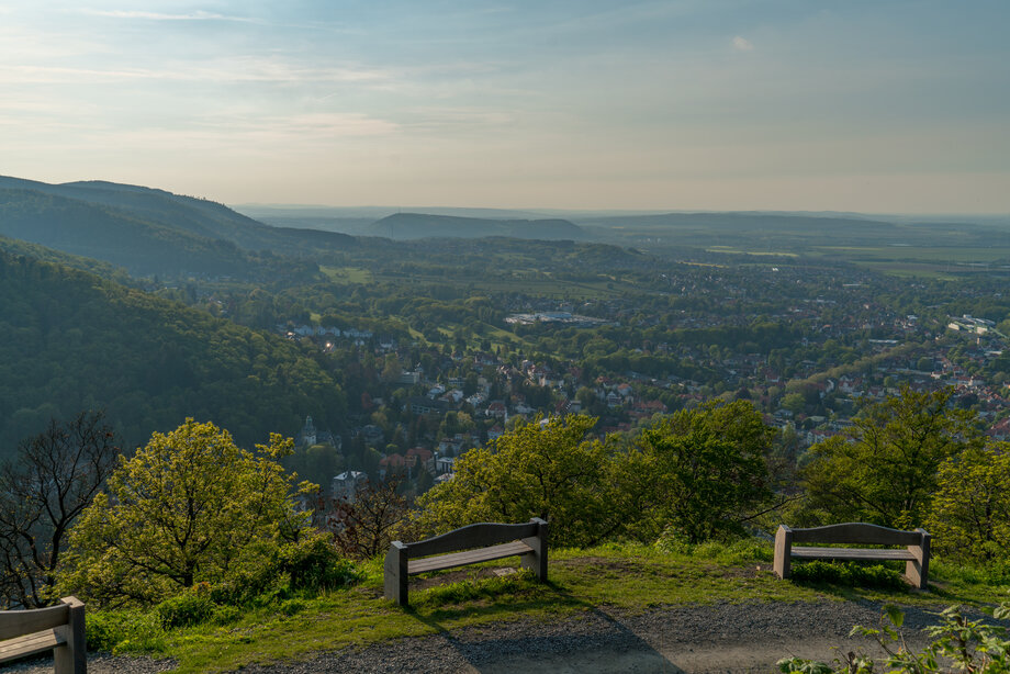 Burgberg_Blick.jpg