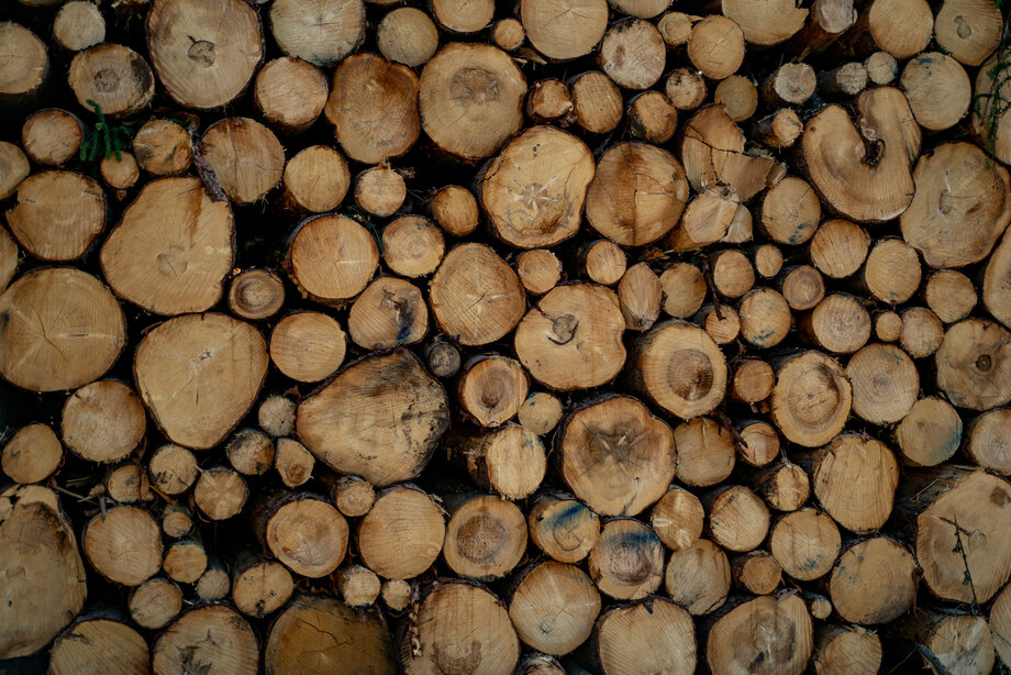 Holz.jpg