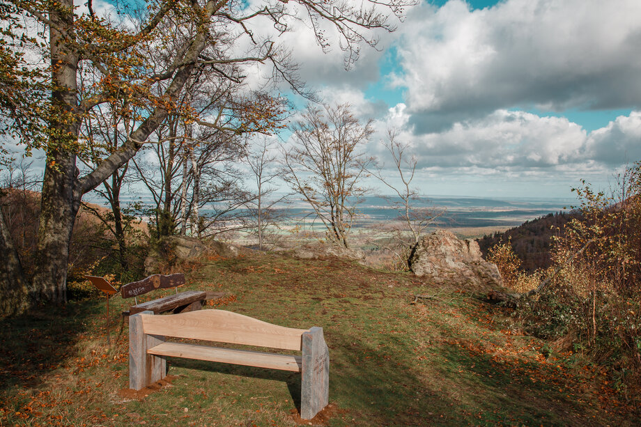 Besinnungsweg Bad Harzburg Genusswandern im Harz Wanderung-Harz 12.jpg