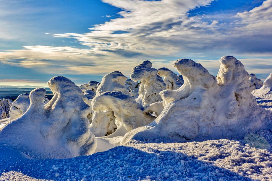 NationalparkHarz_Brocken_Winter